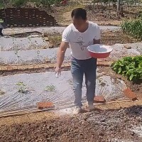 生石灰粉10斤大树涂白剂土壤改良防虫害氧化钙除湿防潮消毒防虫